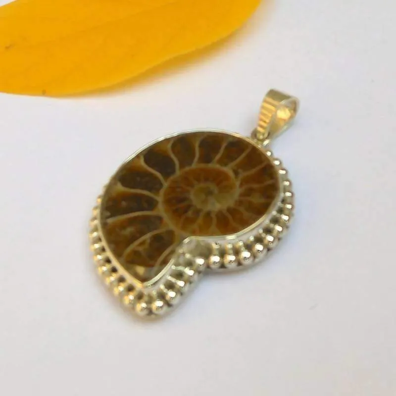 Ammonite Fossil Pendant Ammonite Pendant Necklace Shell Pendant 925 Silver Pendant Rare Gemstones Unique Jewelry Ammonite Jewelry