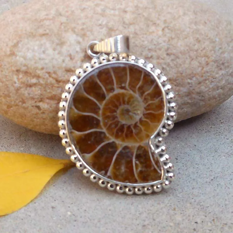 Ammonite Fossil Pendant Ammonite Pendant Necklace Shell Pendant 925 Silver Pendant Rare Gemstones Unique Jewelry Ammonite Jewelry