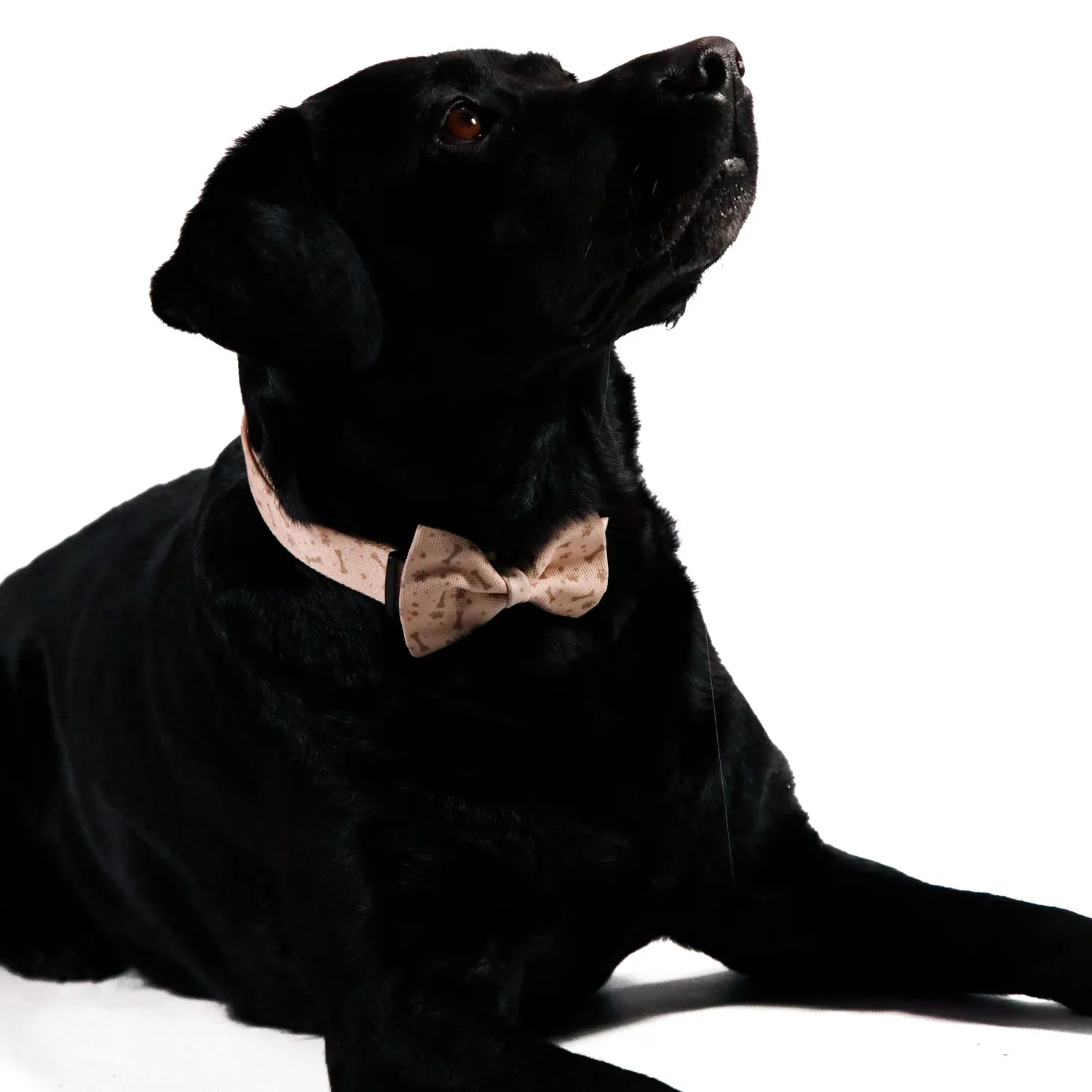 Beige Bones Bow Tie