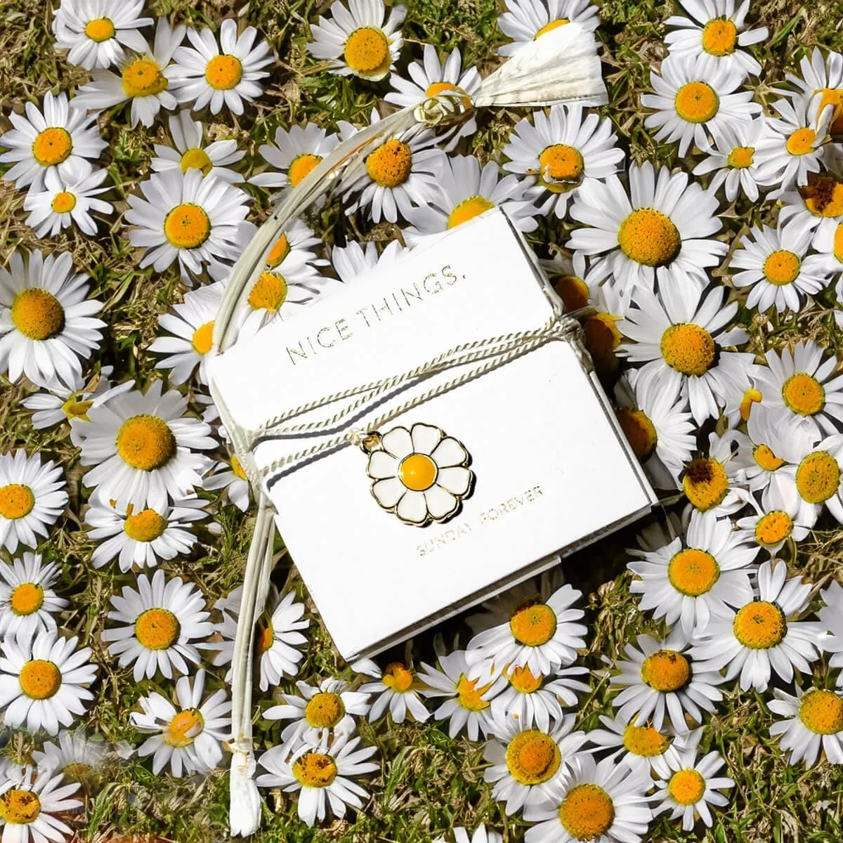 Limited Edition Daisy Anklet